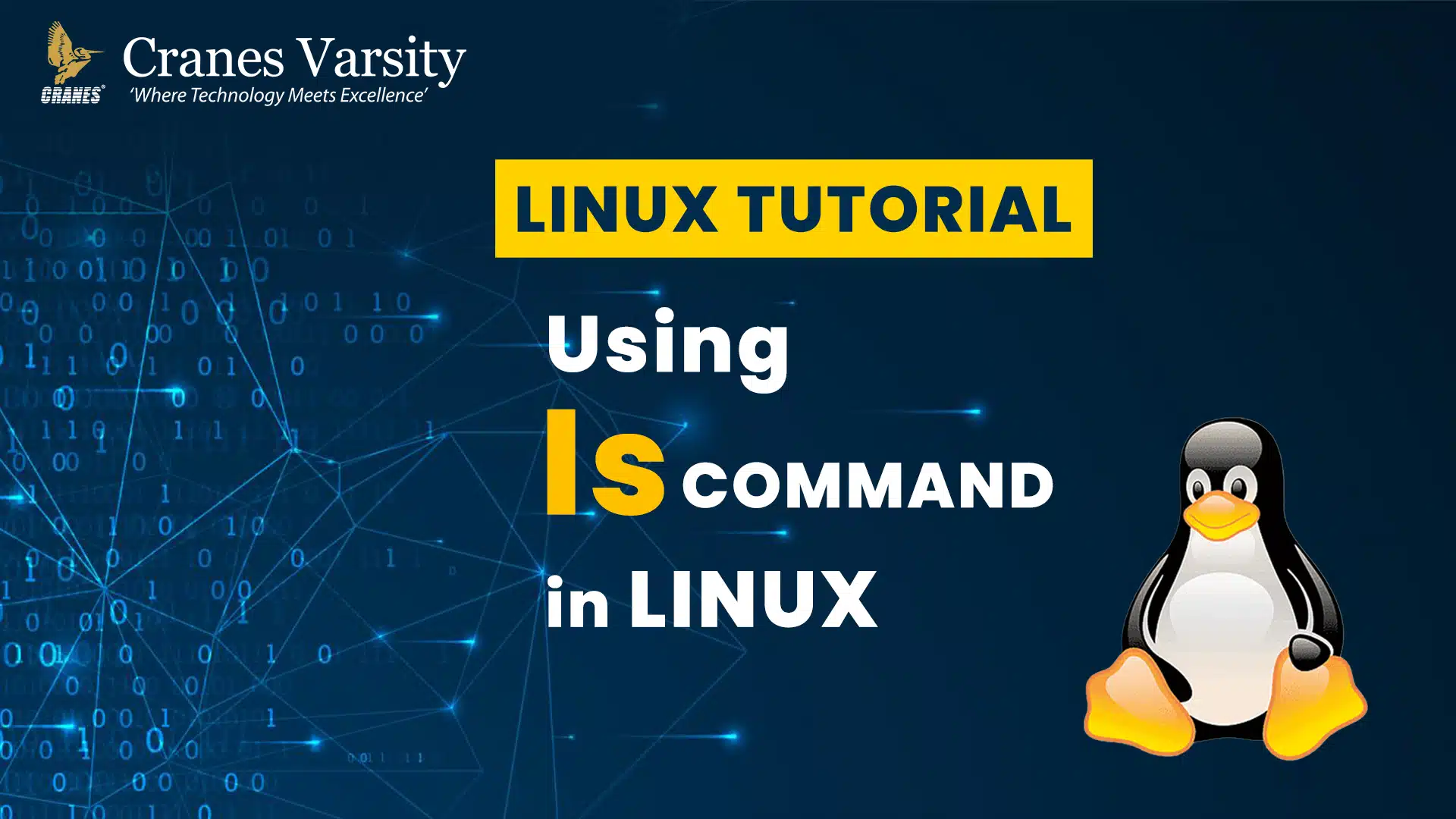 Tutorials Videos - Cranes Varsity